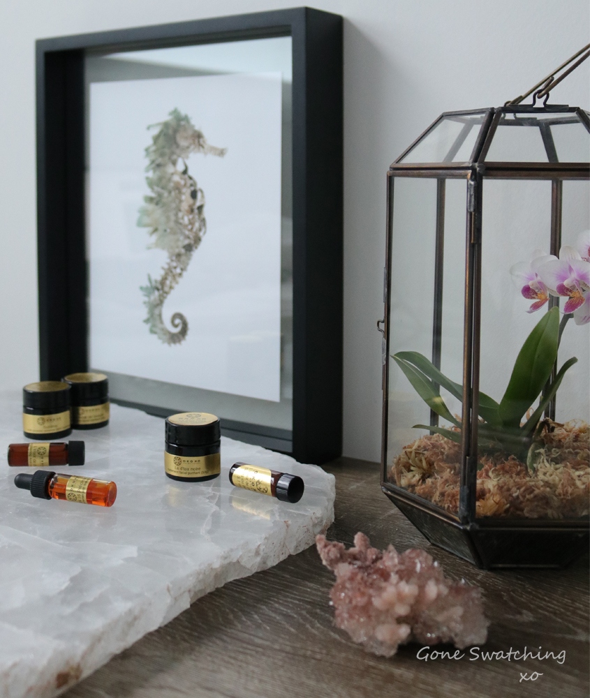 Okoko-Cosmetiques-Skincare-Review.-Gone-Swatching-xo