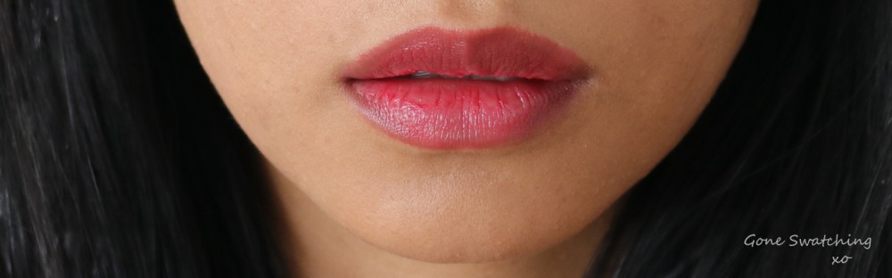 Ere-Perez-Cacao Vegan Lip Colour Review and Swatches. Dash-Lip-Swatch.-Gone-Swatching-xo