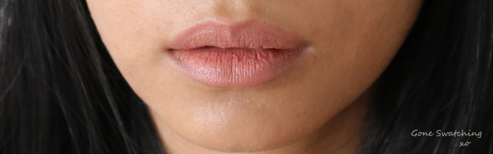 Ere-Perez-Olive-Oil-Lipstick-Review-and-Swatches.-Runway.-Gone-Swatching-xo