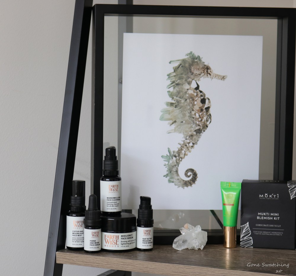 The Worst Natural &amp; Organic Skincare &amp; Makeup of 2019. Earthwise Beauty. Resilency Serum &amp; Marshmallow Cleanser. Gone Swatching xo