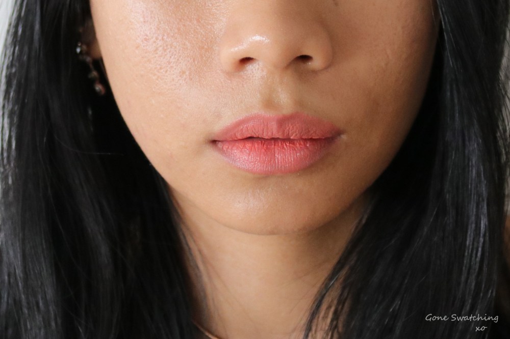 Ere Perez Olive Oil Lipstick Lip Swatch Picnic. Gone Swatching xo