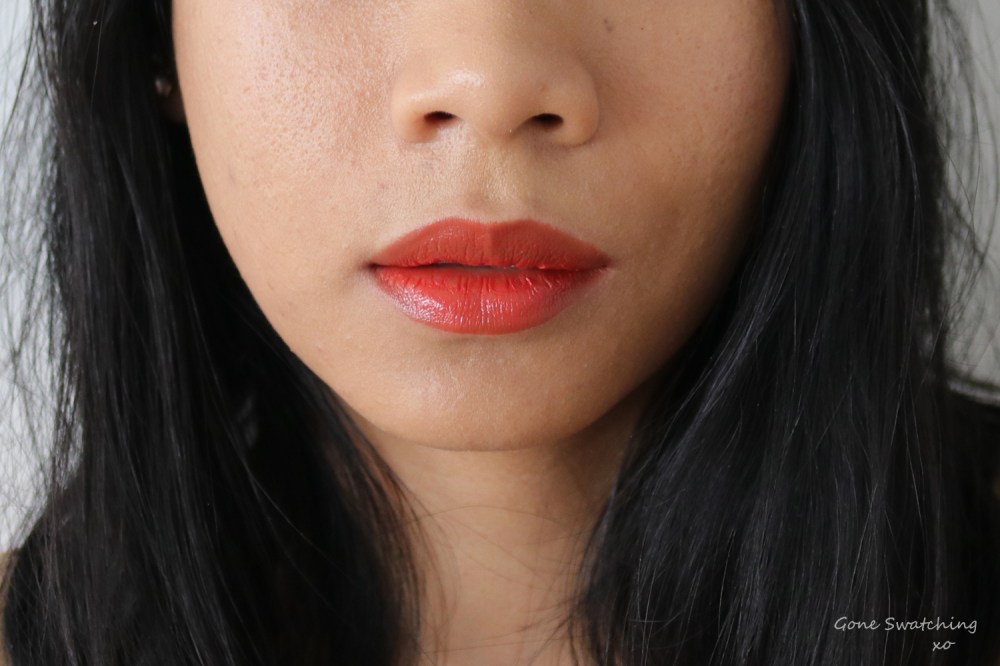 Elate Beauty Natural Lipstick Lip Swatch Blaze. Gone Swatching xo