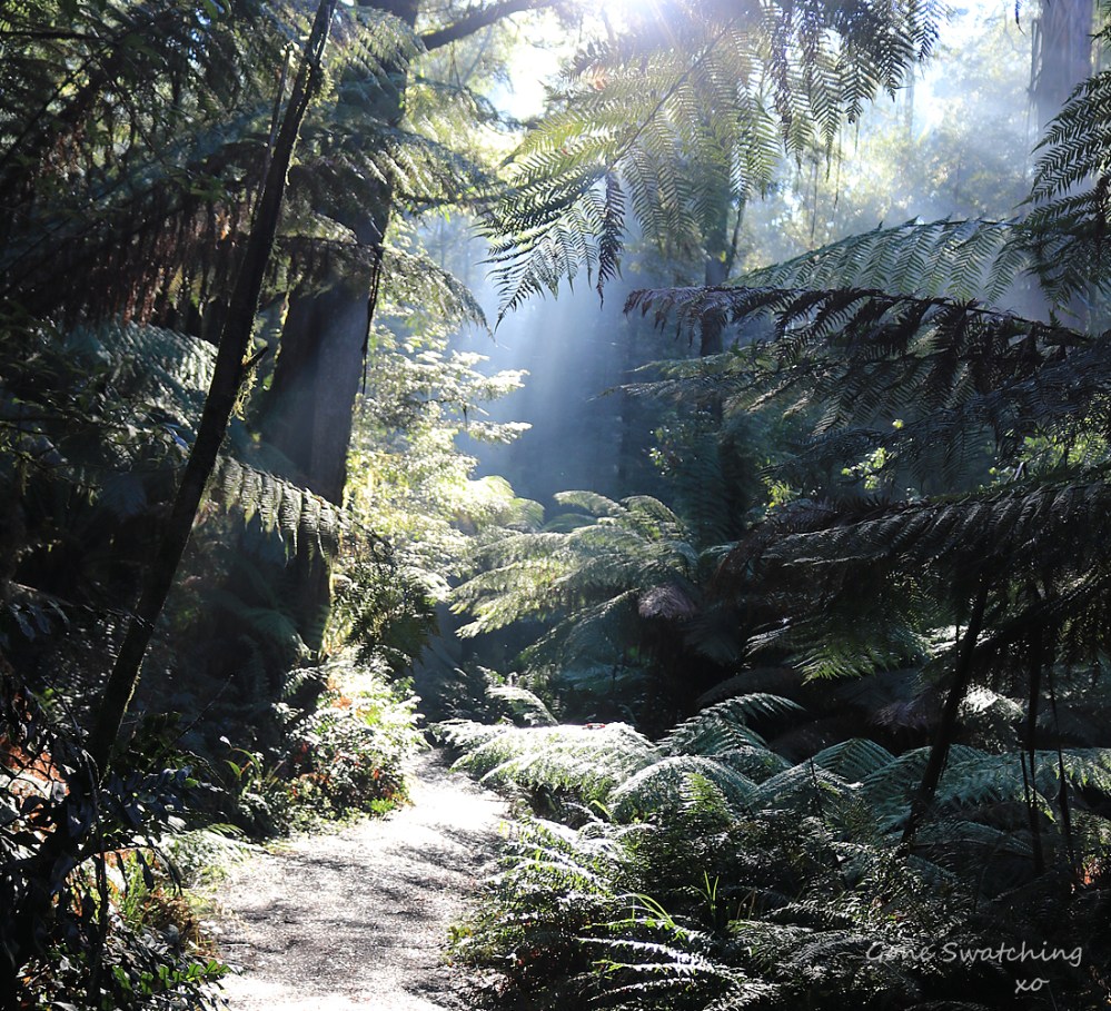 Sustainable Love - Emily Fletcher's 12 tips for a conscious Valentine’s Day. Guest Post by Founder of Clean+Conscious Awards. Gone Swatching xo